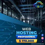 Hosting Profesional